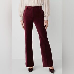NWT Ann Taylor ‘The Jayne’ Rich Burgundy Flare Velvet Pants